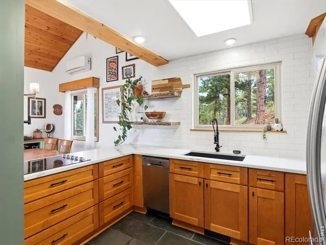 230 Alpine Drive Nederland, CO 80466