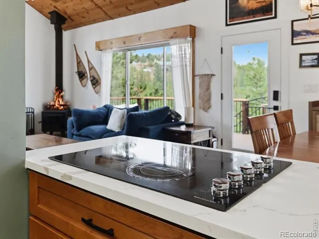 230 Alpine Drive Nederland, CO 80466