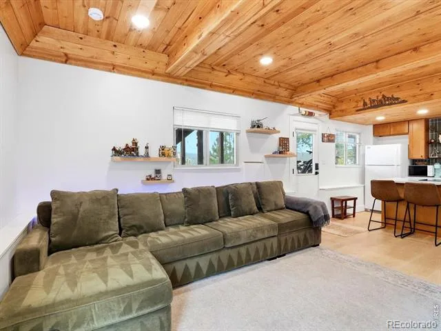230 Alpine Drive Nederland, CO 80466