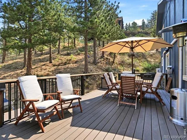 230 Alpine Drive Nederland, CO 80466