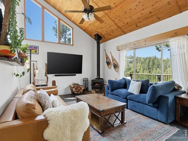 230 Alpine Drive Nederland, CO 80466