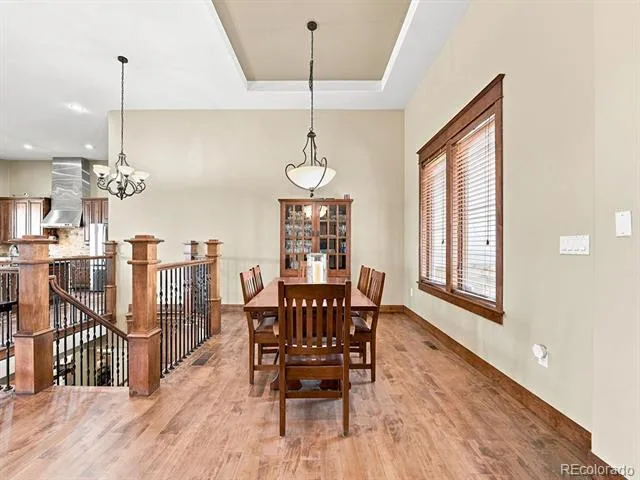 9753 Falcon Roost Point Parker, CO 80138