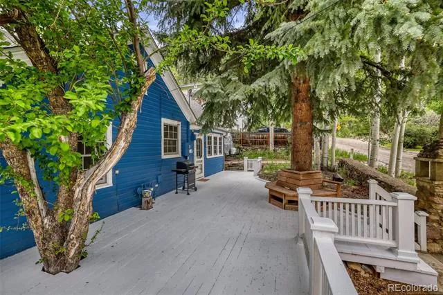 902 Main Street Georgetown, CO 80444