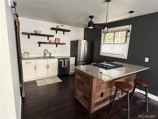 2180 Clear Creek Drive Georgetown, CO 80444