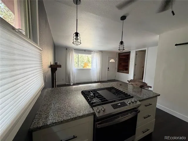2180 Clear Creek Drive Georgetown, CO 80444
