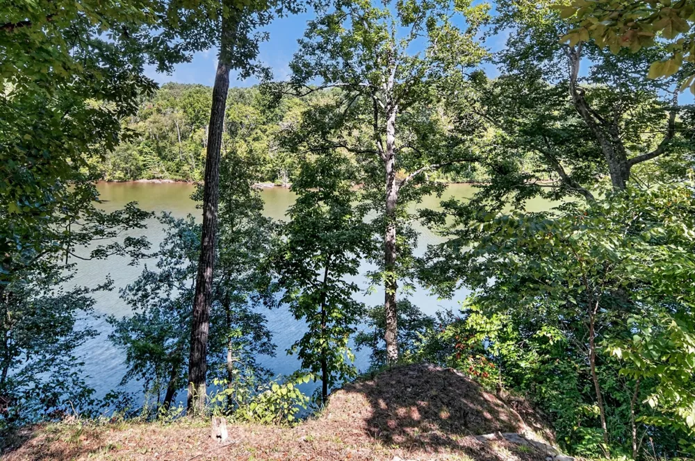 300 Chandler Rd Doyle, TN 38559