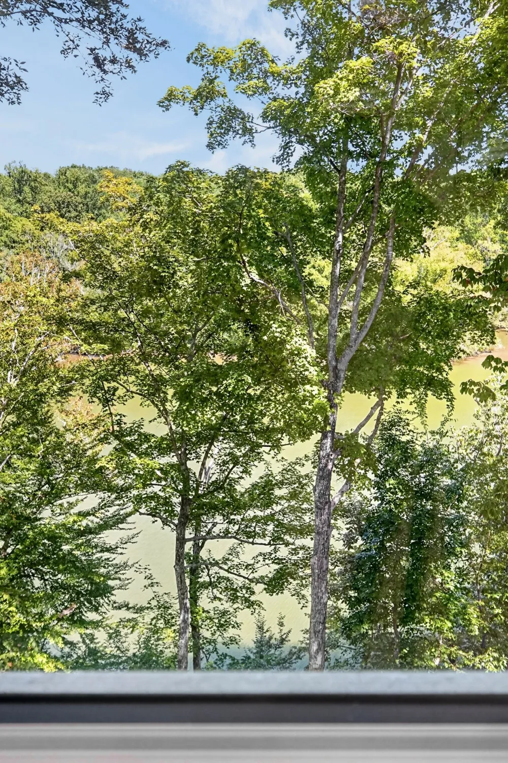 300 Chandler Rd Doyle, TN 38559