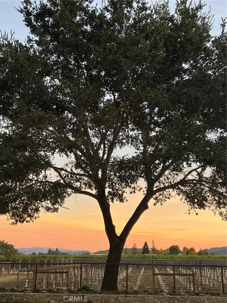 1125 Rutherford Napa, CA 94558