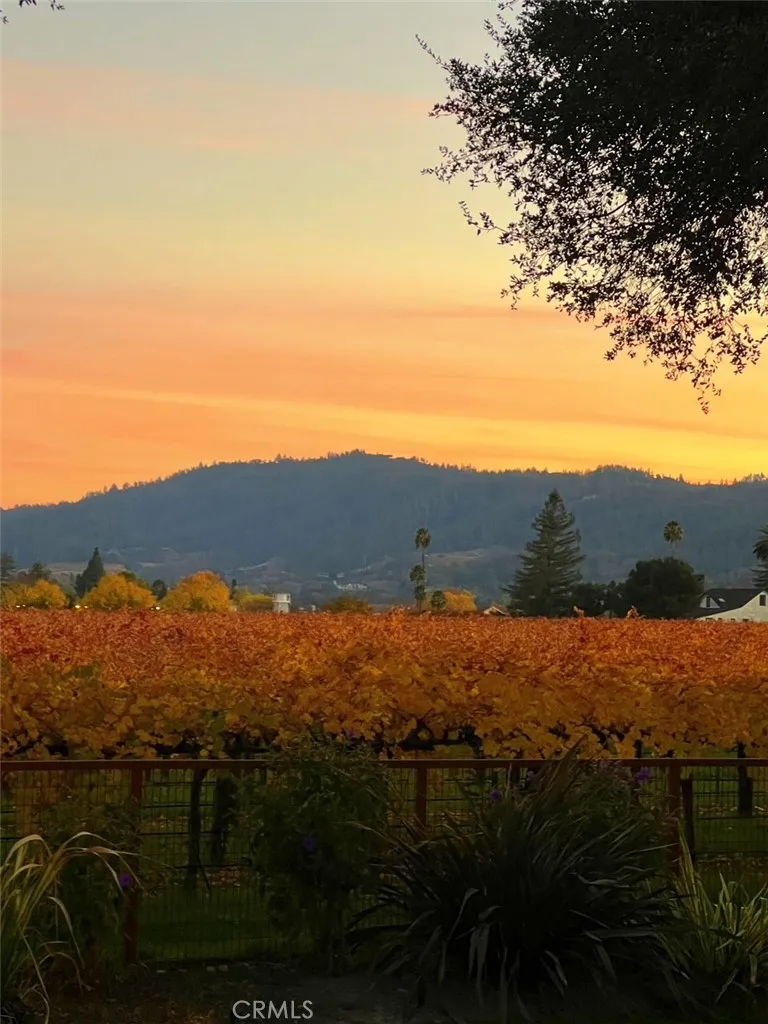 1125 Rutherford Napa, CA 94558