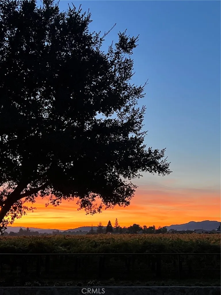 1125 Rutherford Napa, CA 94558