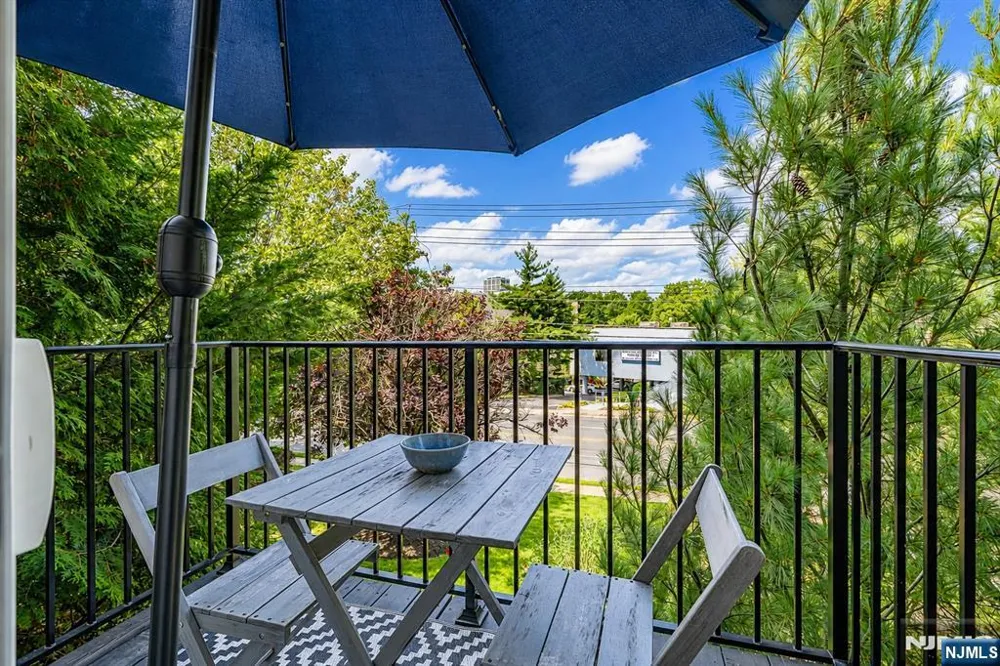 1 Mt Vernon Verona, NJ 07044