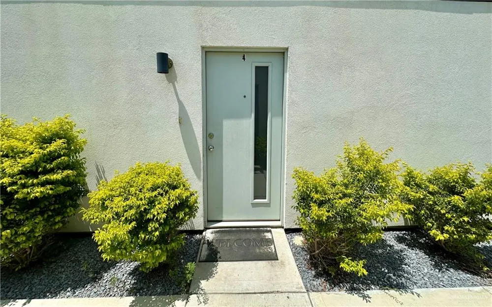 1308 E Iris Avenue #4 McAllen, TX 78501