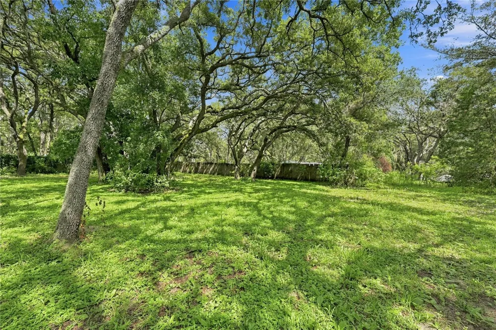 34921 EMILY DRIVE Dade City, FL 33523