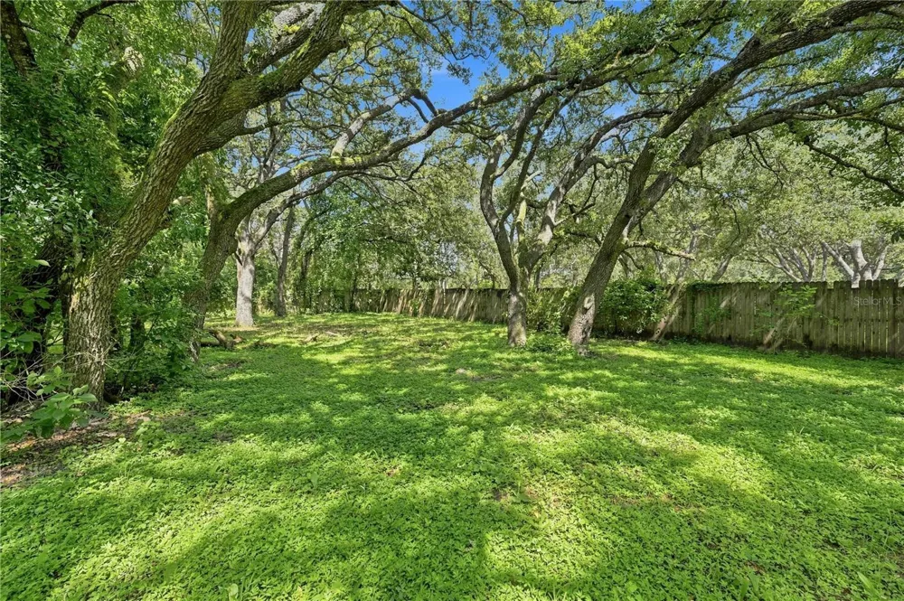 34921 EMILY DRIVE Dade City, FL 33523