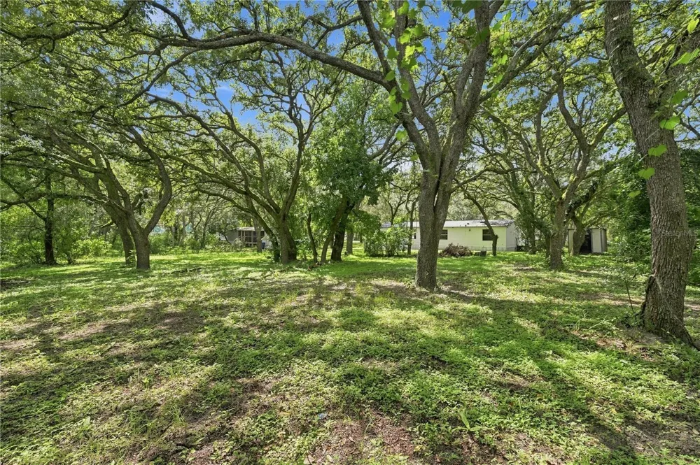 34921 EMILY DRIVE Dade City, FL 33523