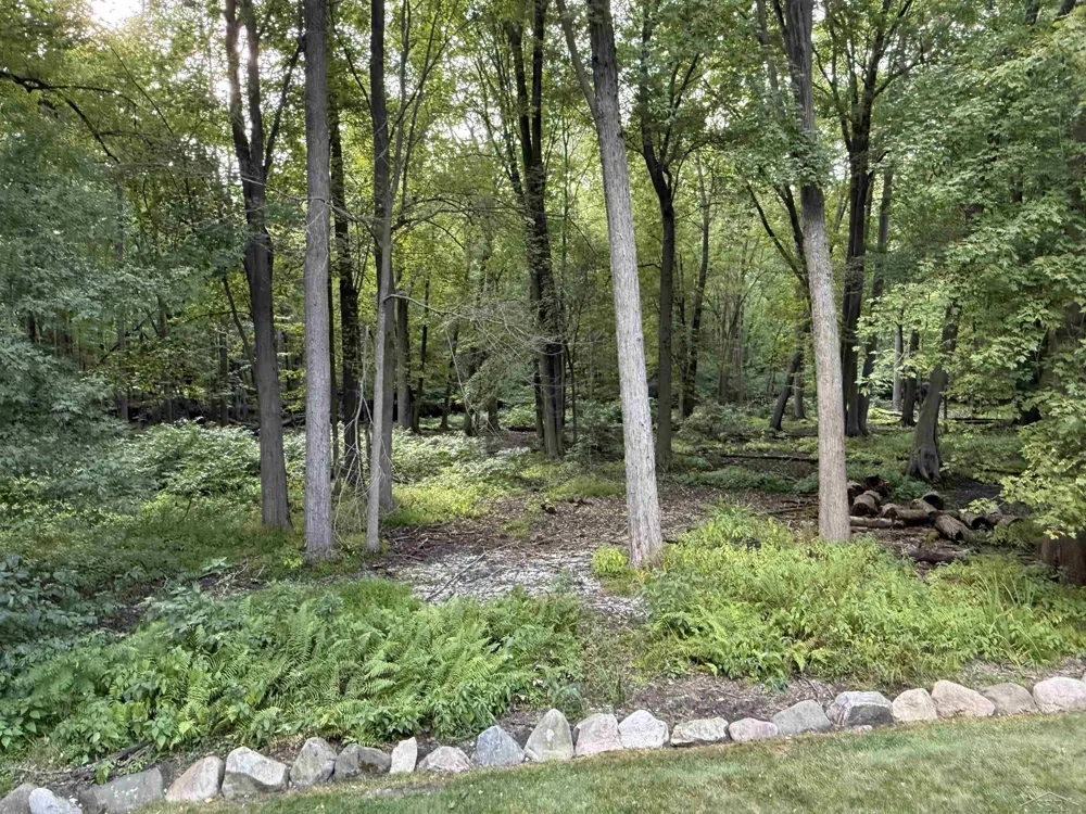 1825 Miller Road Thomas Township, MI 48609