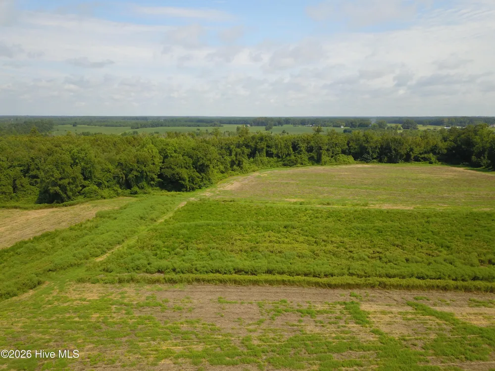 2 S Nc 41 Highway Wallace, NC 28466