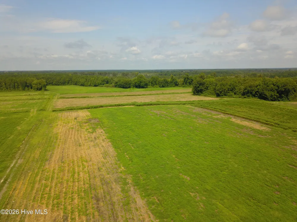 2 S Nc 41 Highway Wallace, NC 28466