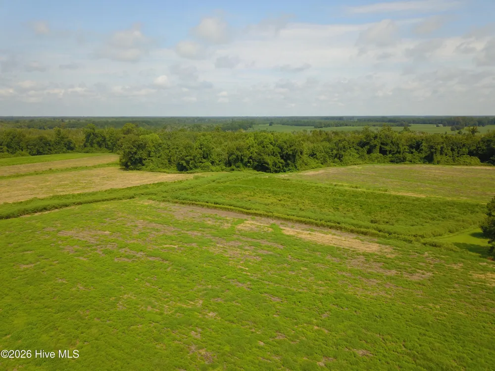 2 S Nc 41 Highway Wallace, NC 28466