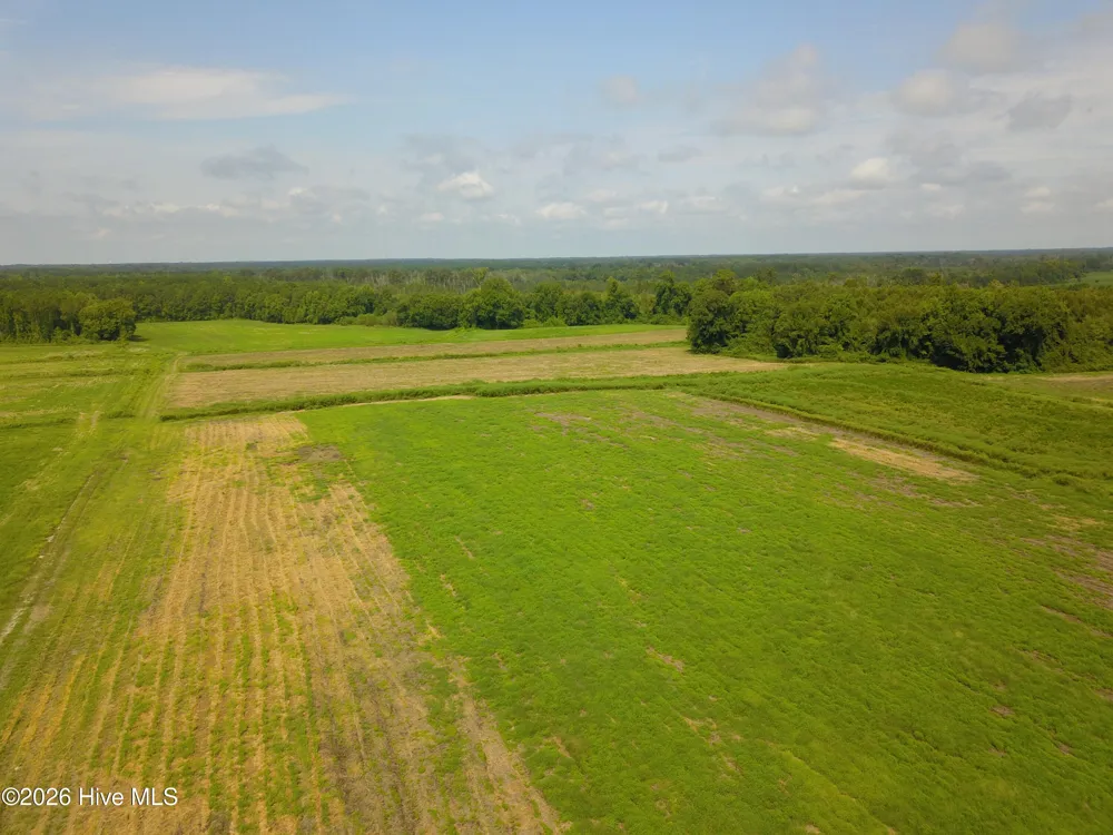 2 S Nc 41 Highway Wallace, NC 28466