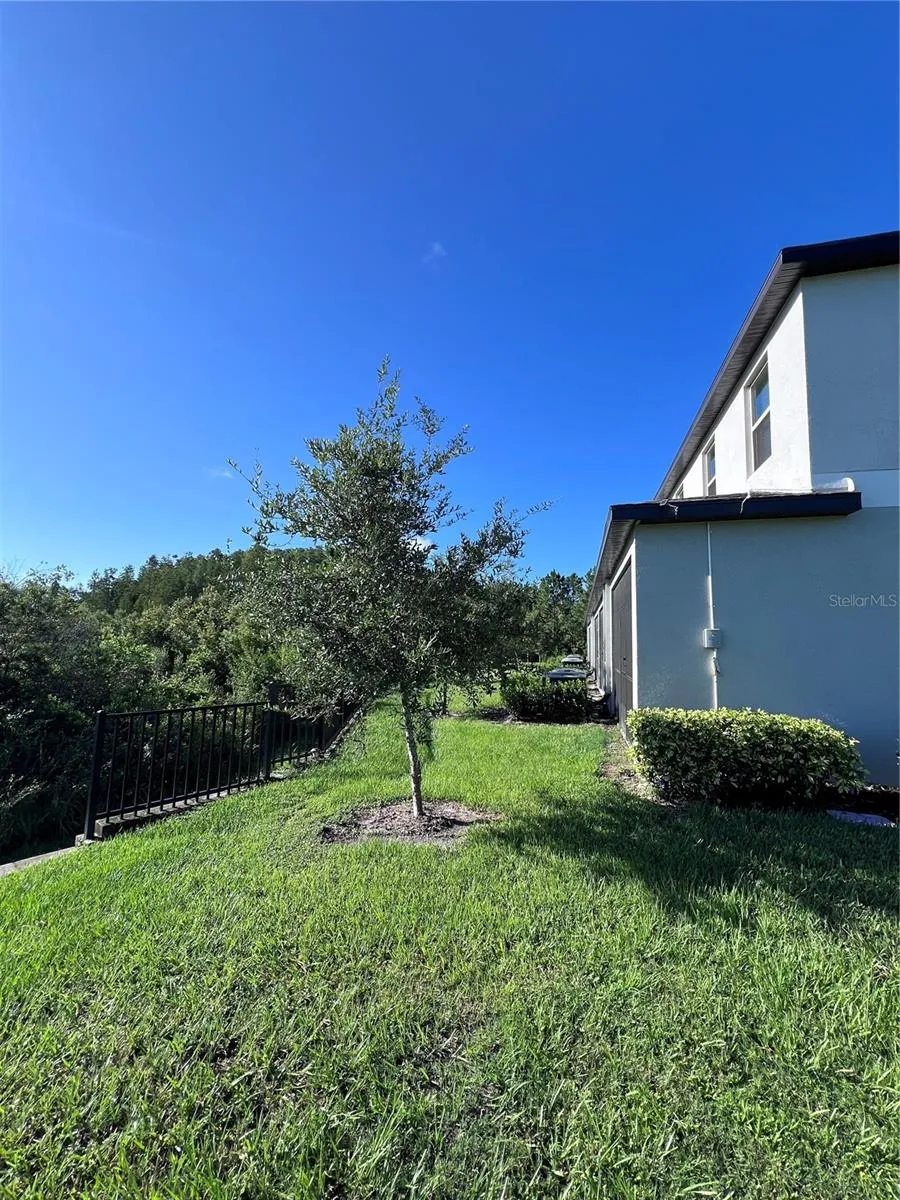 3515 BELLMEADE COURT Wesley Chapel, FL 33543