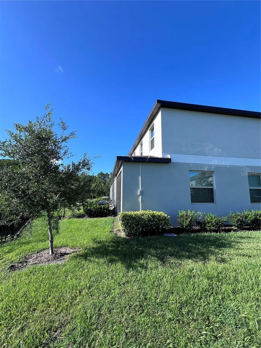 3515 BELLMEADE COURT Wesley Chapel, FL 33543