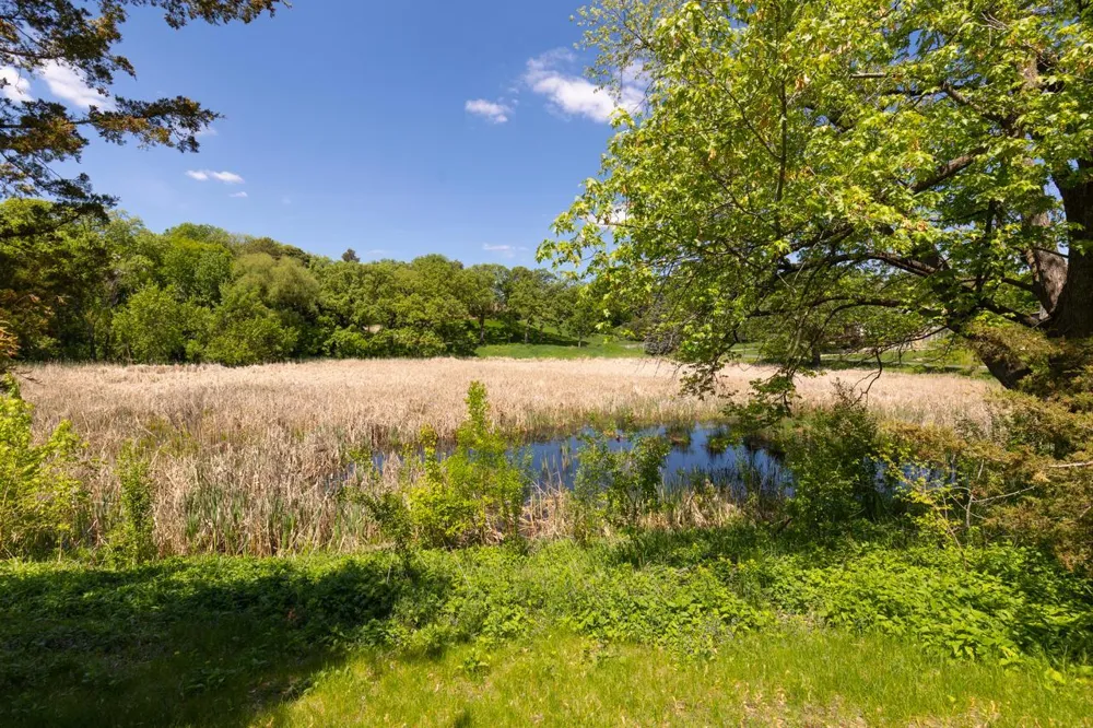 4717 Meadow Road Edina, MN 55424