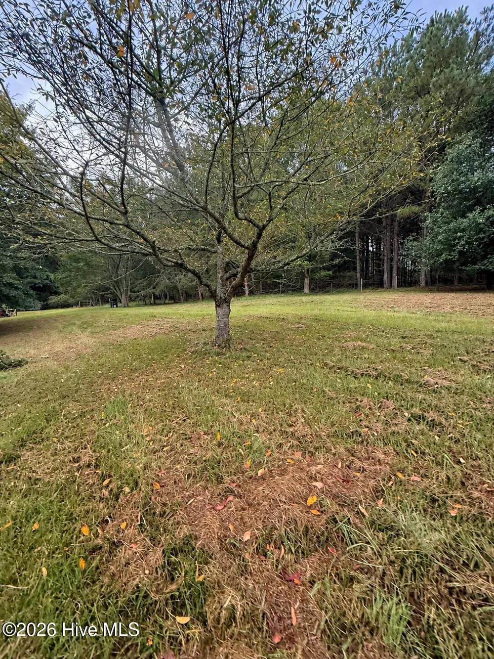 2281 Red Haven Drive Thomson, GA 30824