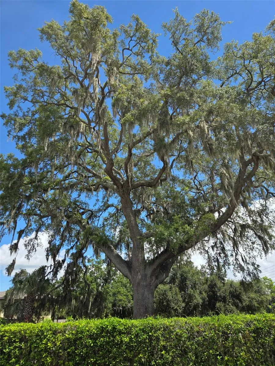 3373 CEDAR SPRINGS PLACE #149 Winter Park, FL 32792