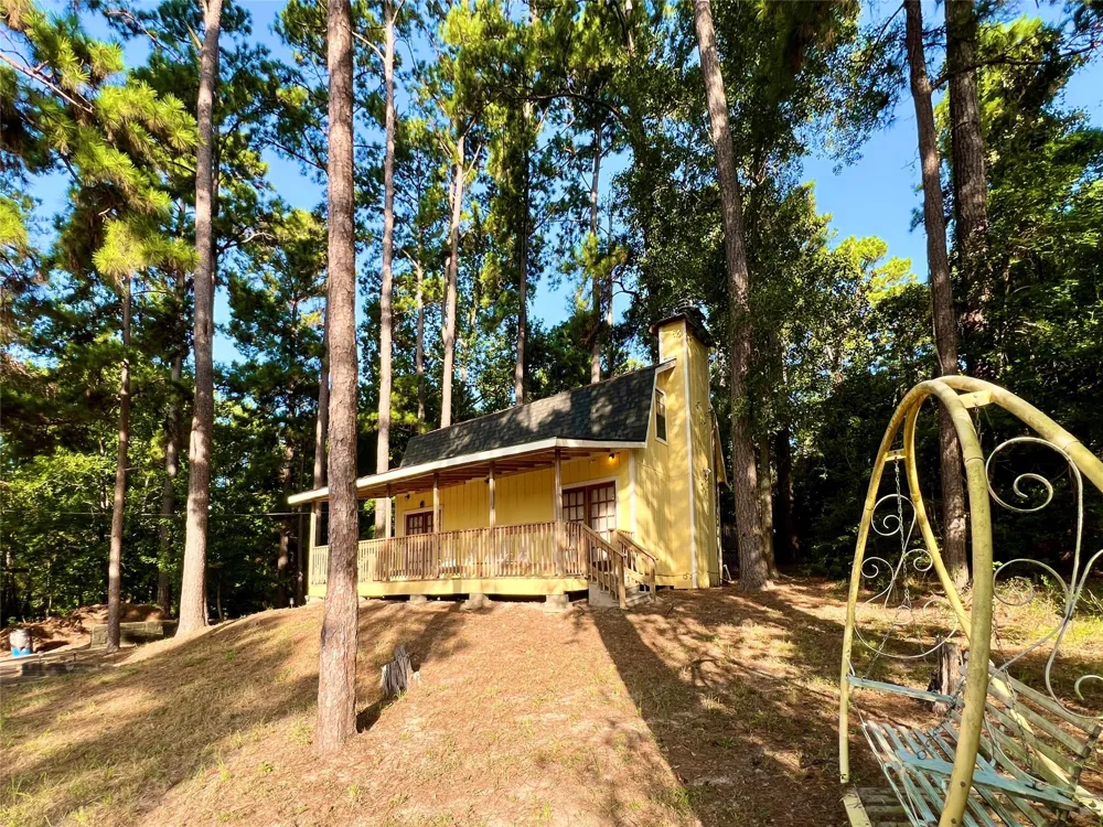 1 Hilltop Circle Coldspring, TX 77331