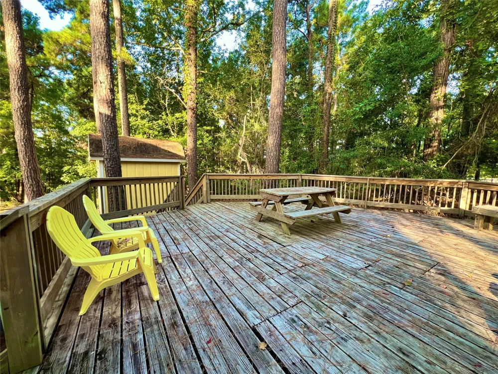 1 Hilltop Circle Coldspring, TX 77331