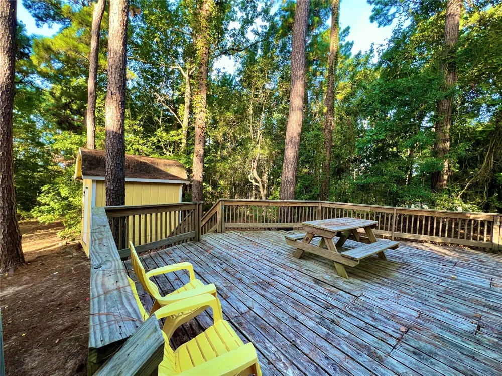 1 Hilltop Circle Coldspring, TX 77331