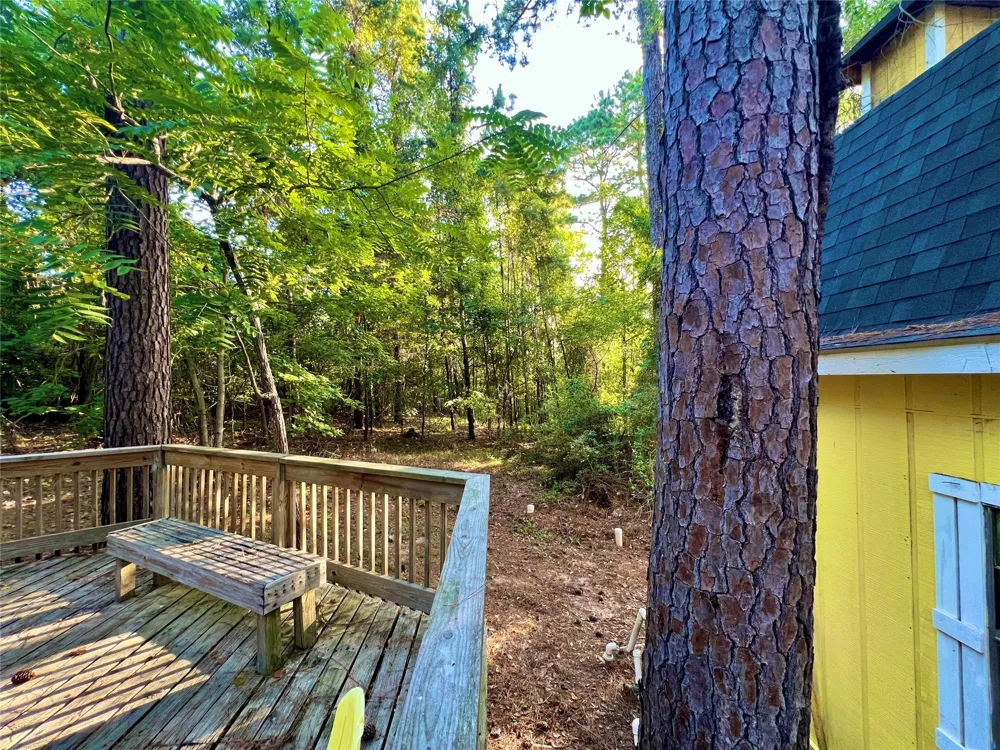 1 Hilltop Circle Coldspring, TX 77331