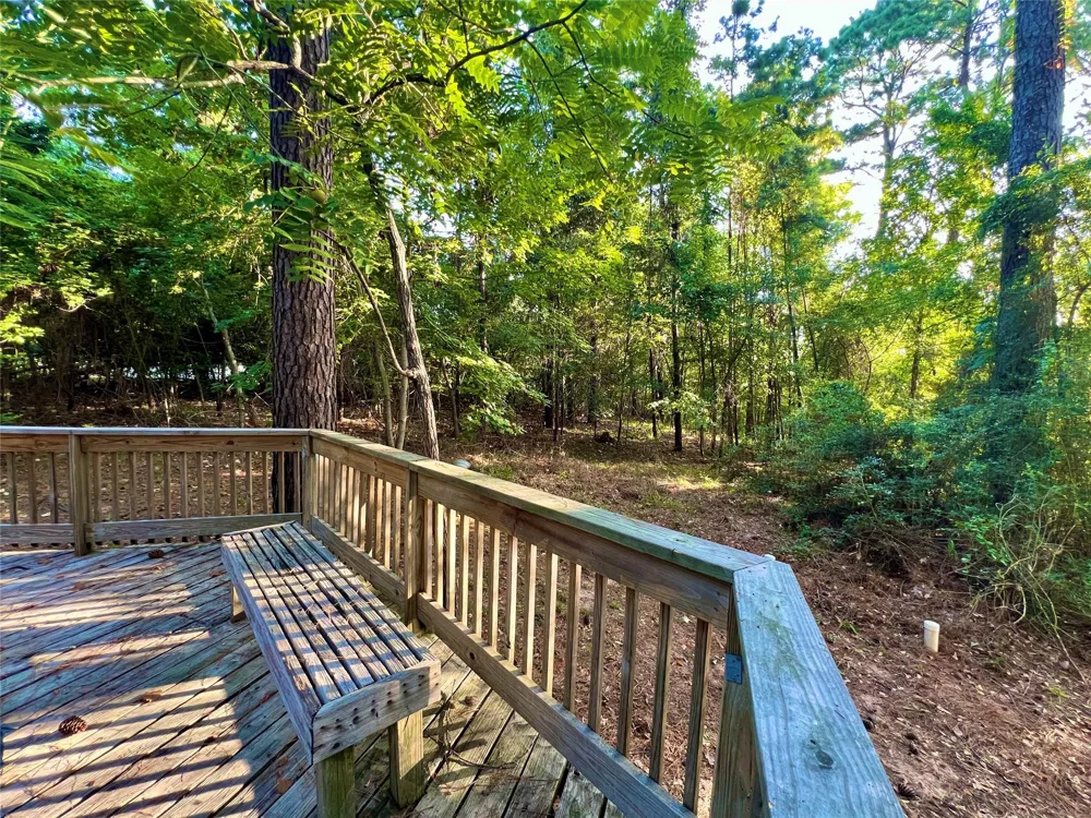 1 Hilltop Circle Coldspring, TX 77331