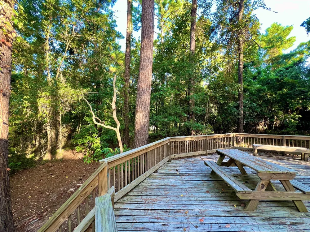 1 Hilltop Circle Coldspring, TX 77331