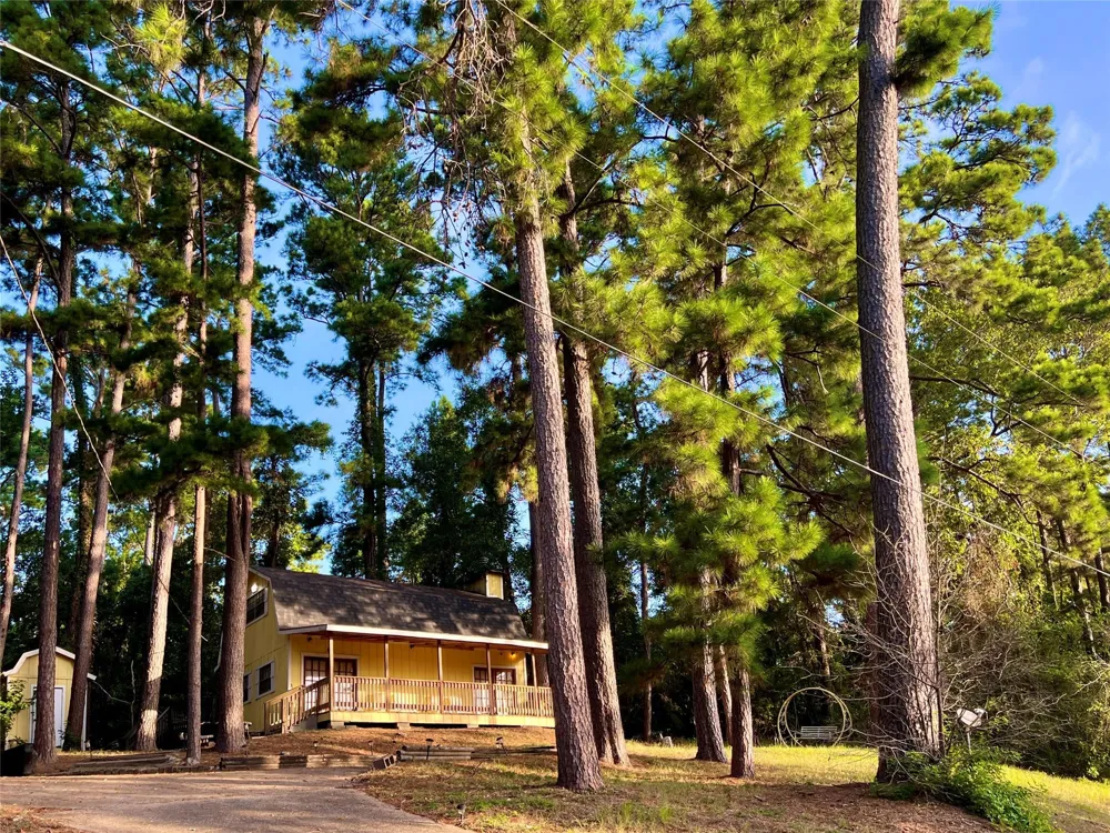 1 Hilltop Circle Coldspring, TX 77331