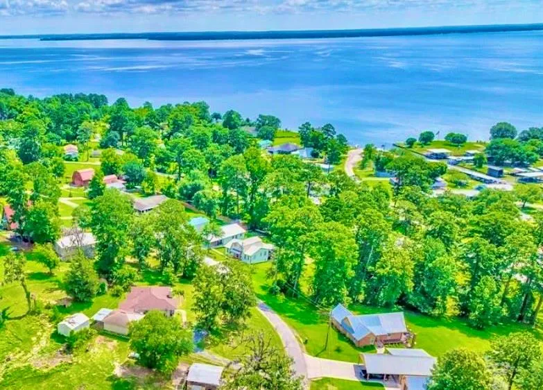 1 Hilltop Circle Coldspring, TX 77331