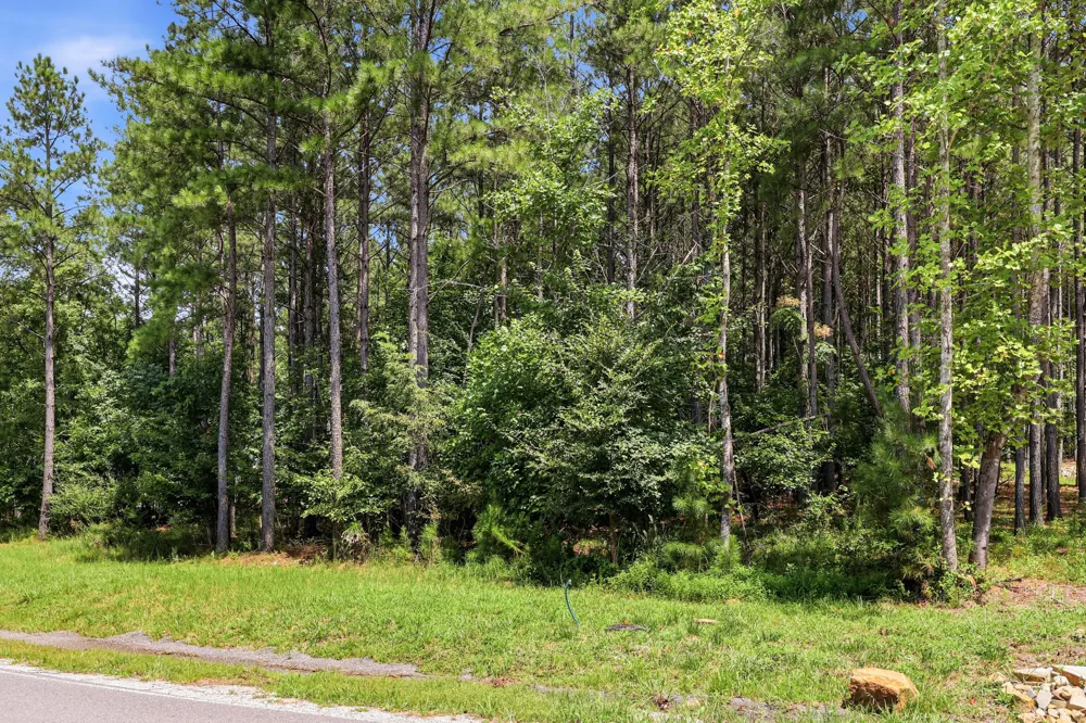 Raulston Falls Road Jasper, TN 37347