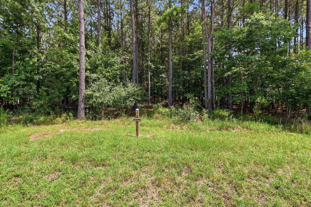Raulston Falls Road Jasper, TN 37347