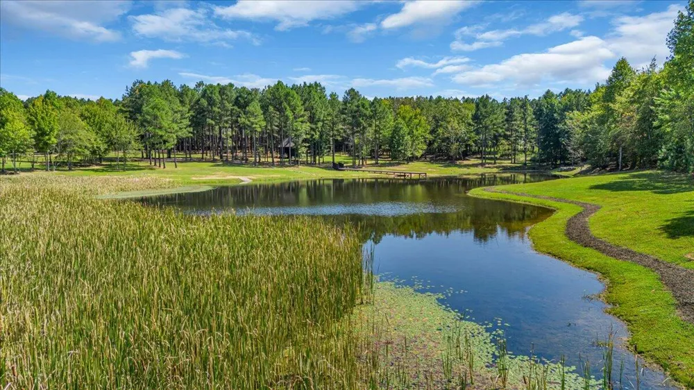 Raulston Falls Road Jasper, TN 37347