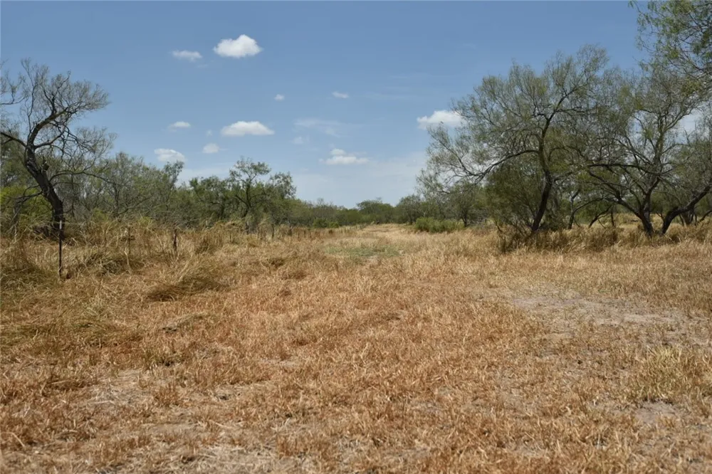 2325 E Highway 285 Falfurrias, TX 78355