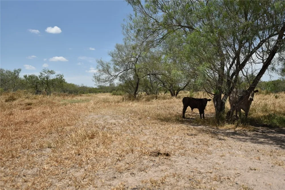 2325 E Highway 285 Falfurrias, TX 78355