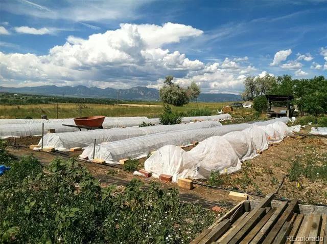 4586 95th Street Lafayette, CO 80026