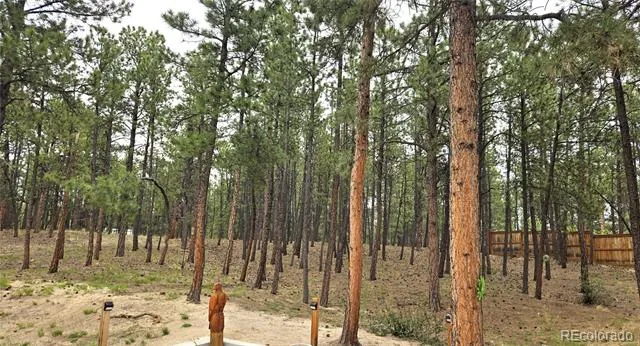 7220 Mcshane Road Colorado Springs, CO 80908