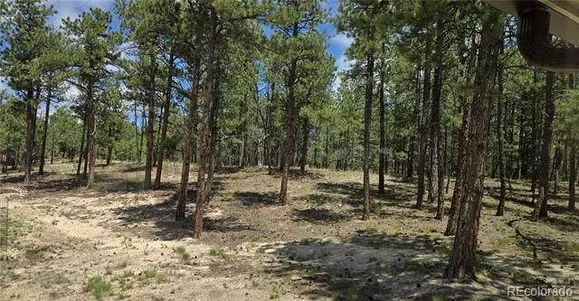 7220 Mcshane Road Colorado Springs, CO 80908