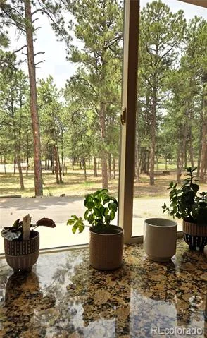 7220 Mcshane Road Colorado Springs, CO 80908