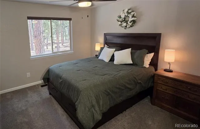 7220 Mcshane Road Colorado Springs, CO 80908