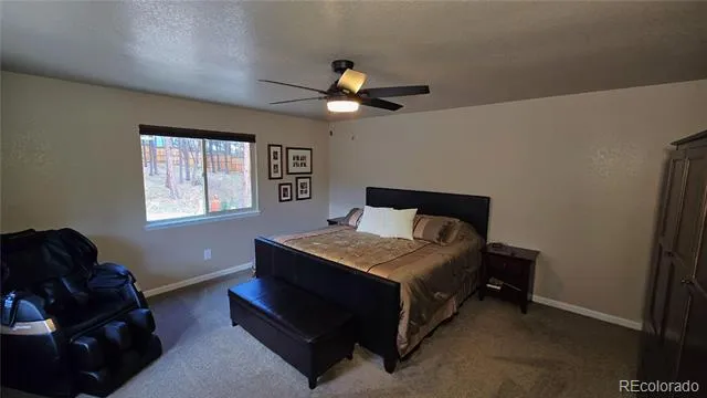 7220 Mcshane Road Colorado Springs, CO 80908