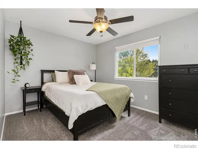 6837 Mcclellan Road Wellington, CO 80549