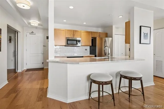 300 W 11th Avenue #10E Denver, CO 80204